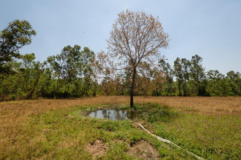 Upvan Wildlife Resort - Pura Stays Kālāgarh Kültér fotó
